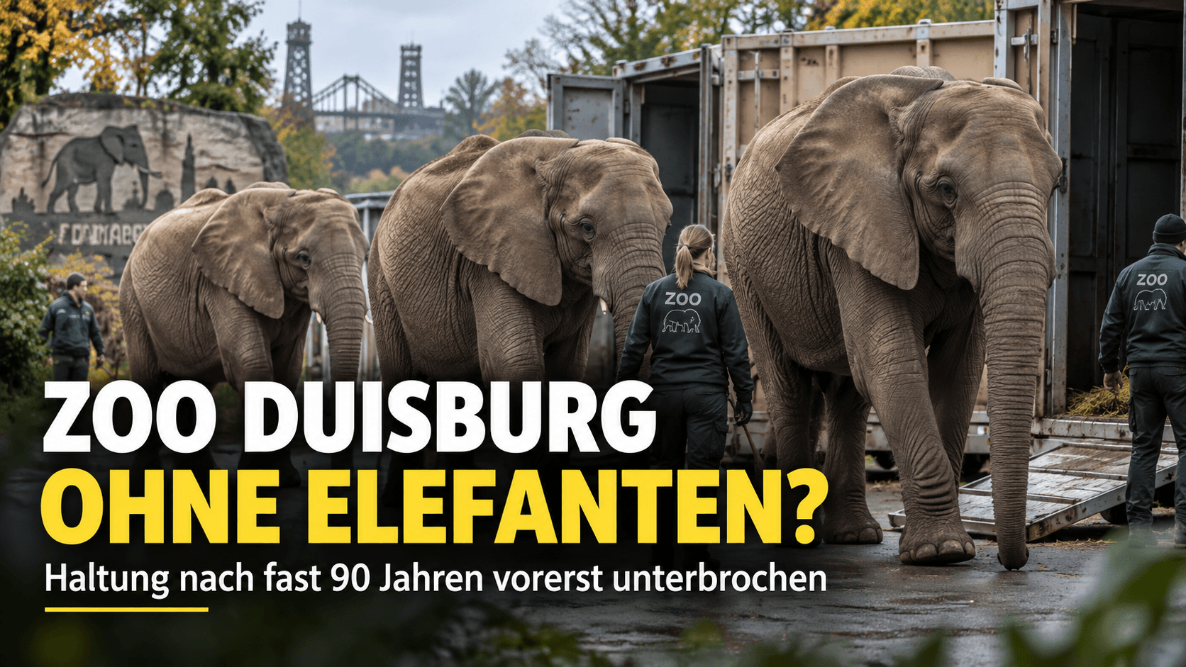 Zoo Duisburg Elefanten beim vorbereiteten Transport nach Polen nach fast 90 Jahren Elefantenhaltung