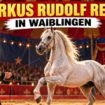 Weißer Araberhengst in der Manege beim Zirkus Rudolf Renz in Waiblingen, begleitet von einem Zirkusdirektor im schwarz-goldenen Kostüm.