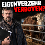 Ein Landwirt mit Dokumenten in einem Stall thematisiert den Eigenverzehr von Fleisch nach Notschlachtung vor dem Hintergrund rechtlicher Vorgaben.
