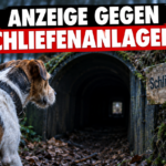 Ein Jagdhund vor einer Schliefenanlage im Kreis Borken, nachdem Peta erstattet Anzeige gegen die Betreiber der Trainingsstätte.
