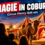 Ein majestätisches Kamel vor dem beleuchteten Zelt vom Zirkus Henry in Coburg bei Dämmerung.