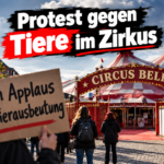Tierschützer führen einen Protest gegen Tiere im Zirkus vor dem Eingang des Circus Belly in Lüneburg durch.
