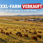 Weite Landschaft der Woodhouse Station, da eine XXL-Farm in Australien verkauft wurde.