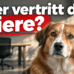 KI-generiertes Symbolbild zu Antoine F. Goetschel im NZZ-Interview: braun-weißer Hund vor einem Büroschreibtisch mit der Überschrift „Wer vertritt die Tiere?“.