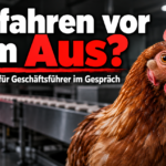 KI-generiertes Symbolbild: braunes Huhn vor industrieller Förderanlage. Themenbezug: Mögliche Verfahrenseinstellung im Schlachthof-Fall Wassertrüdingen. Schriftzug: „Verfahren vor dem Aus?“