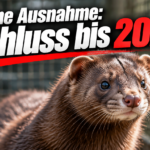 KI-generiertes Symbolbild zum Nerzzucht-Verbot in Dänemark: brauner Nerz in einem Drahtkäfig unter der Überschrift „Keine Ausnahme: Schluss bis 2029“.