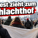 KI-generiertes Symbolbild zum Thema Protest gegen Tönnies in Weißenfels: Demonstrierende von hinten mit hellem Transparent vor Industriegebäuden; Schriftzug „Protest zieht zum Schlachthof“.
