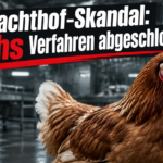 KI-generiertes Symbolbild: braunes Huhn vor einer industriellen Kulisse zum Thema „Rechtskräftige Verfahren im Schlachthof-Skandal Wassertrüdingen“.