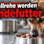 KI-generiertes Symbolbild: Ein Hund frisst aus einem Metallnapf, dahinter steht ein Kochtopf. Themenbezug: Reutlinger Tierheim verfüttert Unfallrehe.