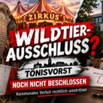 Tönisvorst Zirkus-Gastspiele: Elefant vor Zirkuszelt, Verbotsschild und Rathaus verdeutlichen den umstrittenen Wildtier-Ausschluss.