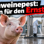 KI-generiertes Symbolbild zur Zivilschutzübung zur Afrikanischen Schweinepest: Schwein vor zwei Personen in Schutzanzügen und einer Dekontaminationsanlage.