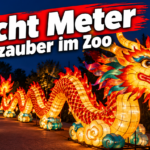 KI-generiertes Symbolbild zu Zoolichter im Zoo Duisburg: leuchtender Drache und rote Lampions an einem nächtlichen Weg, darüber „Acht Meter – Lichtzauber im Zoo“.