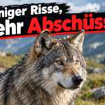 KI-generiertes Symbolbild zum Thema Rückgang der Nutztierrisse in der Schweiz: Wolf vor Bergkulisse mit der Überschrift „Weniger Risse, mehr Abschüsse?“